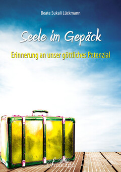 Seele im Gepäck E-Book