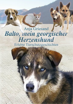 Balto, mein georgischer Herzenshund