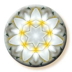Imagami-Button Tempelblume