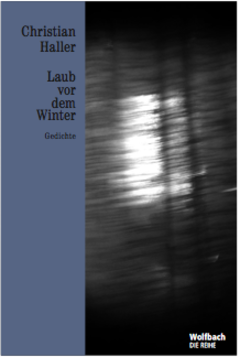 Laub vor dem Winter - Die Reihe Bd. 17
